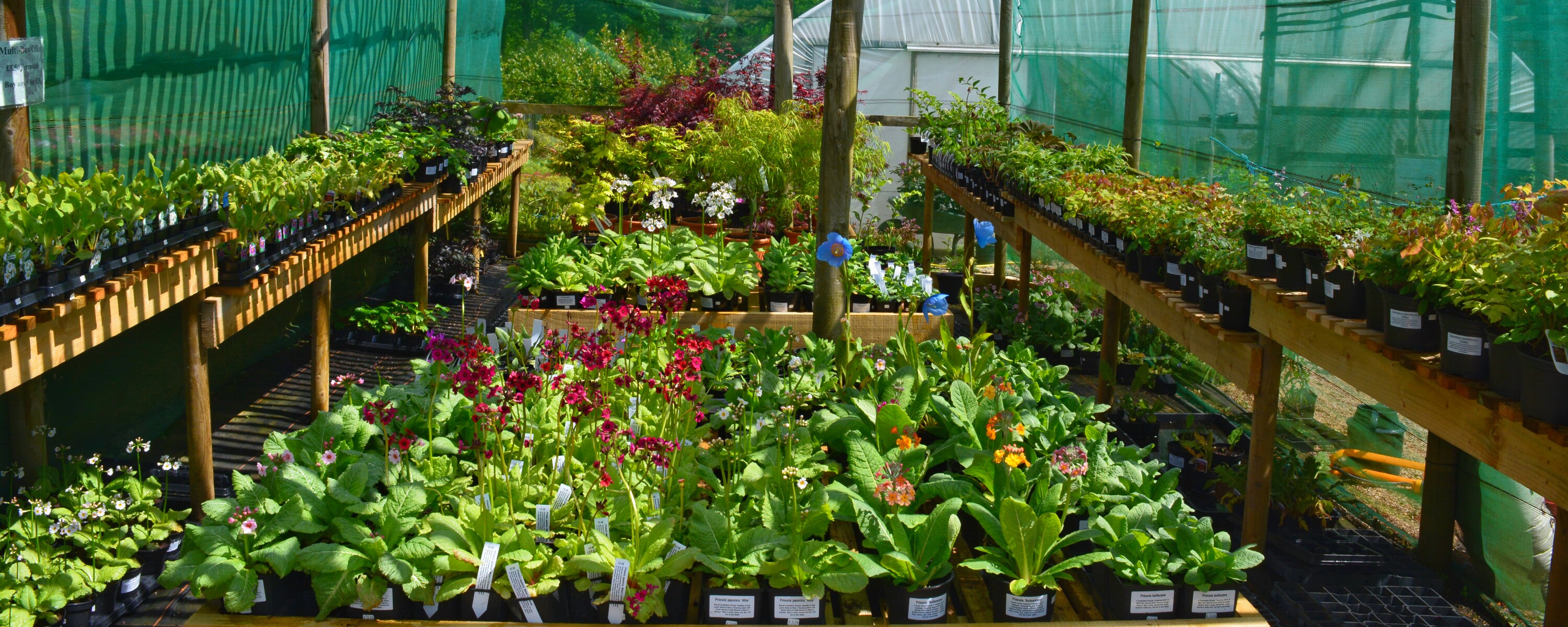 gardens to visit near richmond north yorkshire