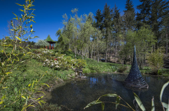 Himalayan Garden & Sculpture Park Gardens North Yorkshire