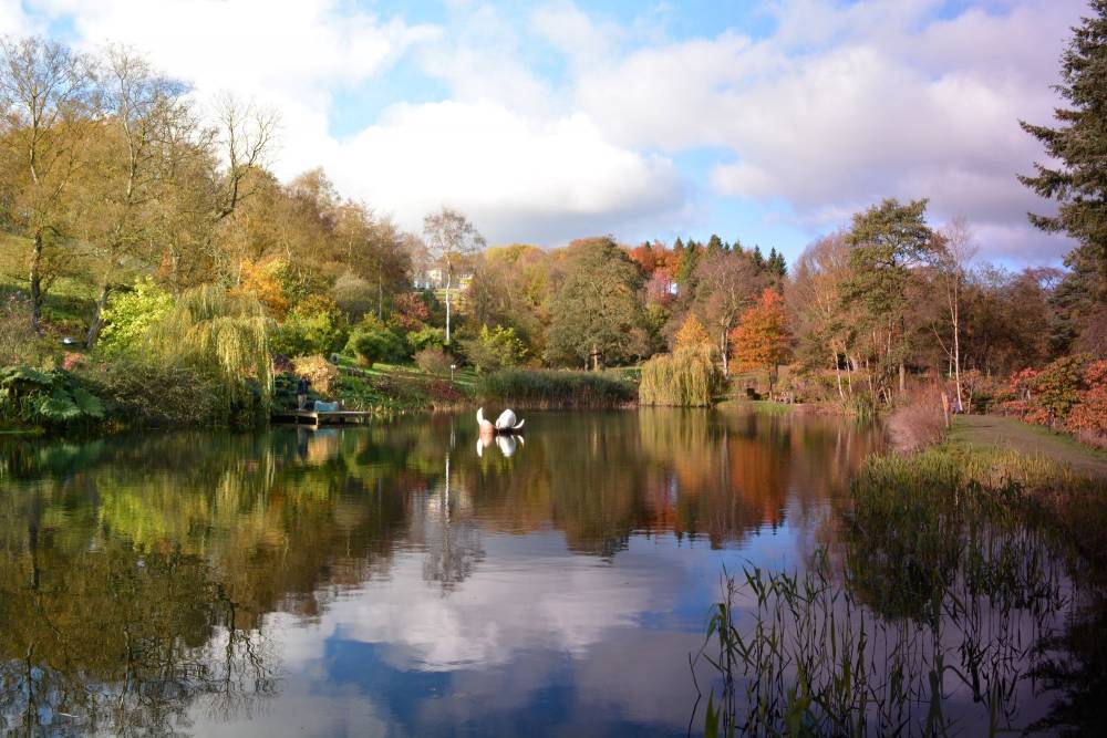 gardens to visit near richmond north yorkshire